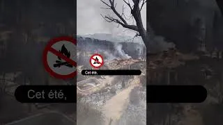 Miniature : Cet été, quelle forêt voulez-vous ?