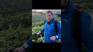 Miniature : L'humain empoisonne sa nourriture pour la manger...