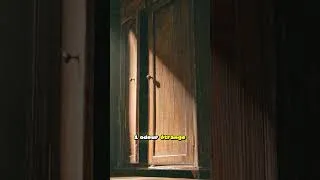 Miniature : ⚠️ LA PIRE ODEUR DE TA MAISON VIENT DE ÇA (et tu ne l’as jamais remarqué)