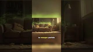Miniature : 🚫 5 ERREURS CACHÉES QUI LAISSENT TA MAISON AVEC UNE ODEUR HORRIBLE!
