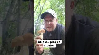 Miniature : 9 juin 2026