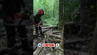 Miniature : stihl ms 462c