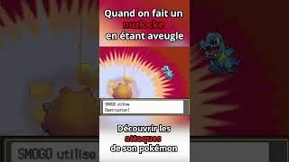 Miniature : Faire un Nuzlocke Pokémon en étant aveugle