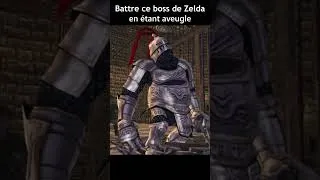 Miniature : Battre ce Boss de Zelda Twilight Princess en étant aveugle