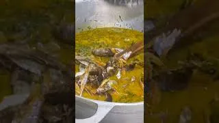 Miniature : Okok Salé : L’authenticité du terroir camerounais dans votre assiette