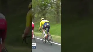 Miniature : Tour de Hongrie 2026 - Stage 5 Final