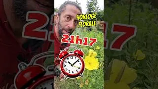 Miniature : Certaines fleurs sont les reines de la ponctualité !