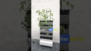 Miniature : Test du home garden de Jardibric part 4/4