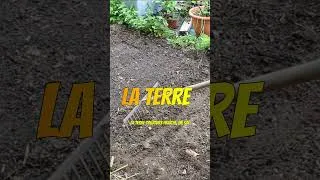 Miniature : Que semer en novembre au potager 5 #potager #jardin #permaculture #agriculture#nature #astuce