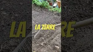 Miniature : Que semer en novembre au potager 4  #potager #permaculture #jardin #agriculture#astuce #nature