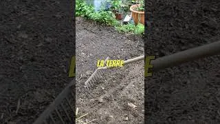 Miniature : Que semer en novembre au potager 3 #jardin #permaculture #agriculture#astuce #nature #potager