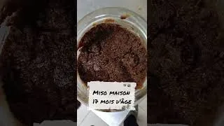 Miniature : Mange de la crinière de lion : le champignon qui soigne et nourrit