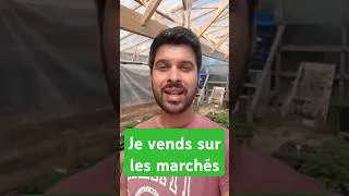 Miniature : Je vends des plants de légumes sur les marchés #jardin #potager #permaculture #plants #vente