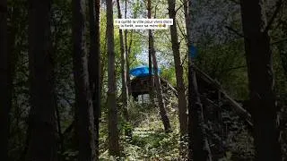 Miniature : Il vit dans la forêt avec sa maman ! 😱