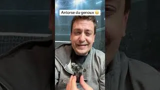 Miniature : Ma blessure au marché Noël ! 🎅 la reprise …  #Shorts