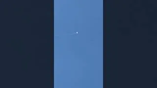 Miniature : Un cerf volant au dessus de Bruxelles ?