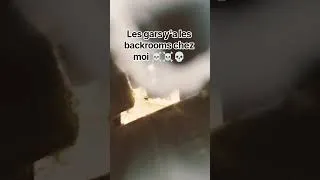 Miniature : wtf ☠️💀