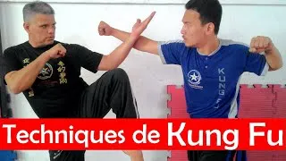 Miniature : Masters of Wing Chun Kung Fu Demonstration Techniques - Arts Martiaux Et Autodéfense #Shorts