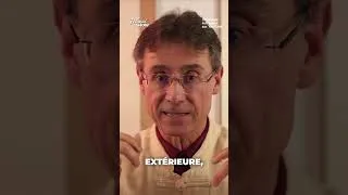 Miniature : Les miracles du Gingembre