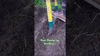 Miniature : Astuce : Plantation des Poireaux avec la Bio-fourche ! (Grelinette)