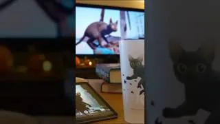 Miniature : Découvrez Flow au cinéma ​🐈‍⬛​⛵​