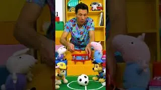 Miniature : Fred et ses peluches encouragent les équipes de chiots au football #shorts #jouets #chiots