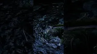 Miniature : Manus, Father of the Abyss  #gaming #darksouls