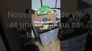 Miniature : Déménagement 🔥 et nouvelle salle de Jeux/enregistrement/streaming 💪