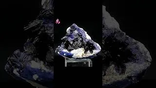Miniature : Géode d'Azurite  | Bou-Azzer (Maroc)