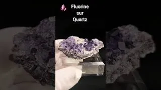Miniature : Fluorine violette  sur Quartz - Hunan, Chine (#573)