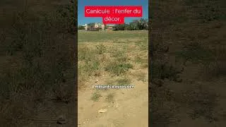 Miniature : Canicule  : l'enfer du décor. #tunisia #france #canicule #climatechange #climateaction