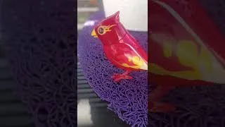 Miniature : un oiseau qui chante vous avez déjà vu ça Feat Tatoune #irl #jouets #abonnetoi #Lémwøu
