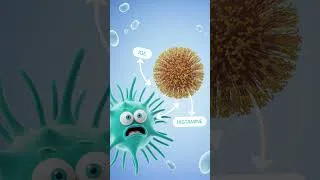 Miniature : Pourquoi nous sommes TOUS devenus allergiques ? 🤧 #santé