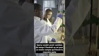 Miniature : Adaptation du Système Nerveux chez les rats