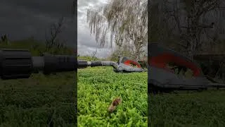 Miniature : Le CONTRASTE entre les deux côtés est SATISFAISANT 🌿