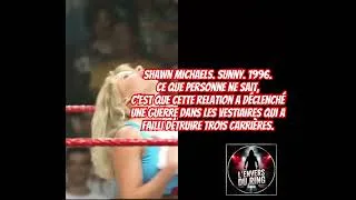 Miniature : Shawn Michaels & Sunny : Ce que la WWE a vraiment caché 🔴 #shorts #wwe #wrestling