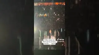 Miniature : Céline Dion concert