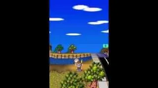 Miniature : Animal Crossing Wild World - Comment attraper une abeille