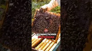 Miniature : Protégeons les Abeilles, Sentinelle du Climat et de la Biodiversité - 🎞 BUZZ (2019)