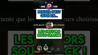 Miniature : C'EST CASTOR !!