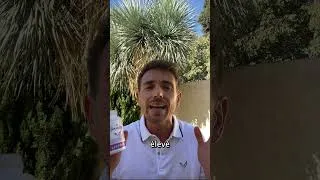 Miniature : Maxivits : La Révolution des Multivitamines - 21 Actifs pour Votre Bien-Être 💪✨