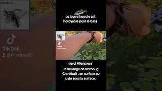 Miniature : leurre insecte incroyable de chez aliexpress.