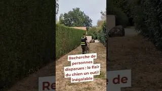 Miniature : Exercice du groupe d'investigation cynophile de la gendarmerie 87