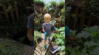 Miniature : Installation d'un composteur enterré 🪱