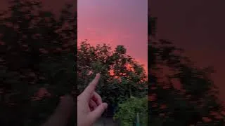 Miniature : Ce ciel rouge marque un nouveau départ… 🌅 dans mon jardin potager