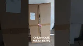 Miniature : vidéo à venir sur un kit DIY de chez Hakadi Battery avec des cellules LFP de chez CATL.