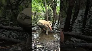 Miniature : Pêche à l’arc 🏹 Attraper un poisson avec un arc en Amazonie #pêche #arc #pechearc #survie #fishing