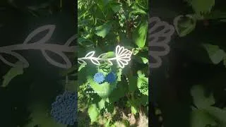 Miniature : boucles d'oreilles mandala dans la boutique #autoentrepreneuse #bouclesdoreilles #earring #pendiente