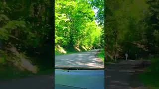 Miniature : POV : Focus ST dans un col fermé! #vitesse#rallye