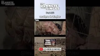 Miniature : part2/3 #analyse du #personnage de #Taylor dans #laplanetedessinges #film #critique #charltonheston